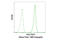 Transcription Factor 7 antibody, 6444S, Cell Signaling Technology, Flow Cytometry image 