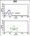 Tetraspanin 12 antibody, PA5-49626, Invitrogen Antibodies, Flow Cytometry image 