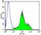 TCRB antibody, NBP2-22486, Novus Biologicals, Flow Cytometry image 