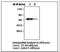 Protein Tyrosine Phosphatase Non-Receptor Type 6 antibody, LS-B6262, Lifespan Biosciences, Western Blot image 