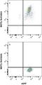 Solute Carrier Family 16 Member 1 antibody, MAB8275, R&D Systems, Flow Cytometry image 