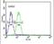 Advillin antibody, PA5-24690, Invitrogen Antibodies, Flow Cytometry image 