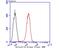 Gelsolin antibody, NBP2-75503, Novus Biologicals, Flow Cytometry image 