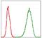 Minichromosome Maintenance Complex Component 2 antibody, NBP2-37544, Novus Biologicals, Flow Cytometry image 