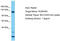 Pleckstrin Homology Domain Containing A5 antibody, TA331842, Origene, Western Blot image 