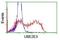 Ubiquitin Conjugating Enzyme E2 E3 antibody, NBP2-03819, Novus Biologicals, Flow Cytometry image 