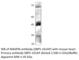 Serpin Family B Member 5 antibody, SPB5-101AP, FabGennix, Western Blot image 