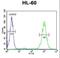 BLM RecQ Like Helicase antibody, LS-C156824, Lifespan Biosciences, Flow Cytometry image 