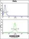 UDP-Galactose-4-Epimerase antibody, 62-529, ProSci, Flow Cytometry image 