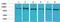 Signal Transducer And Activator Of Transcription 2 antibody, STJ97439, St John