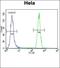 ADP Dependent Glucokinase antibody, orb224131, Biorbyt, Flow Cytometry image 