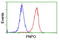 Pyridoxamine 5'-Phosphate Oxidase antibody, LS-C173287, Lifespan Biosciences, Flow Cytometry image 