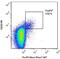 FOXP3 antibody, MA5-18160, Invitrogen Antibodies, Flow Cytometry image 