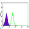 Glycogen Synthase Kinase 3 Beta antibody, LS-C814019, Lifespan Biosciences, Flow Cytometry image 