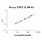 Glypican 2 antibody, EK1715, Boster Biological Technology, Enzyme Linked Immunosorbent Assay image 