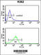 Neutrophil Cytosolic Factor 4 antibody, 63-049, ProSci, Flow Cytometry image 