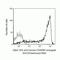 CD45RA antibody, Q10069, Invitrogen Antibodies, Flow Cytometry image 