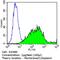 Nerve Growth Factor Receptor antibody, MA5-13314, Invitrogen Antibodies, Flow Cytometry image 