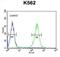 Zinc Finger Protein 517 antibody, abx025792, Abbexa, Flow Cytometry image 