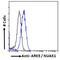 NUAK Family Kinase 1 antibody, LS-C112643, Lifespan Biosciences, Flow Cytometry image 