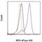 Interferon Regulatory Factor 4 antibody, 48-9858-82, Invitrogen Antibodies, Flow Cytometry image 