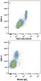 Basigin (Ok Blood Group) antibody, FAB3195F, R&D Systems, Flow Cytometry image 