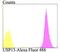 Ubiquitin Specific Peptidase 13 antibody, NBP2-76972, Novus Biologicals, Flow Cytometry image 