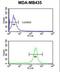 Glutathione S-Transferase Kappa 1 antibody, LS-C166707, Lifespan Biosciences, Flow Cytometry image 