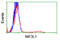 NGG1 Interacting Factor 3 Like 1 antibody, LS-C173391, Lifespan Biosciences, Flow Cytometry image 