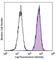 Galectin 9 antibody, 348908, BioLegend, Immunocytochemistry image 