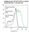 Inducible T Cell Costimulator antibody, LS-C134611, Lifespan Biosciences, Flow Cytometry image 