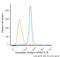 Thymidylate Synthetase antibody, NBP2-34441PE, Novus Biologicals, Flow Cytometry image 