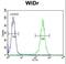 Beta-1,4-Galactosyltransferase 5 antibody, LS-C156719, Lifespan Biosciences, Flow Cytometry image 