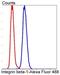 Integrin Subunit Beta 1 antibody, NBP2-67312, Novus Biologicals, Flow Cytometry image 