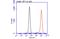 Annexin A5 antibody, GTX103250, GeneTex, Flow Cytometry image 