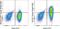 Interleukin 7 Receptor antibody, 63-1278-41, Invitrogen Antibodies, Flow Cytometry image 