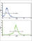 SOD3 antibody, abx033034, Abbexa, Western Blot image 