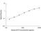 Surfactant Protein D antibody, MAB1920, R&D Systems, Enzyme Linked Immunosorbent Assay image 