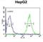 Cyclin Dependent Kinase 14 antibody, abx032979, Abbexa, Western Blot image 