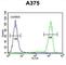Tectonin Beta-Propeller Repeat Containing 1 antibody, abx033014, Abbexa, Western Blot image 