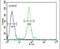 CTD Small Phosphatase Like antibody, PA5-23546, Invitrogen Antibodies, Flow Cytometry image 