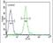 CTD Small Phosphatase Like antibody, PA5-23546, Invitrogen Antibodies, Flow Cytometry image 