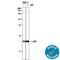p21 antibody, AF1047, R&D Systems, Western Blot image 