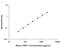 TIMP Metallopeptidase Inhibitor 1 antibody, MTM100, R&D Systems, Enzyme Linked Immunosorbent Assay image 