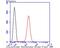 Glutathione Synthetase antibody, NBP2-75513, Novus Biologicals, Flow Cytometry image 