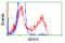 3-Hydroxybutyrate Dehydrogenase 2 antibody, LS-C115302, Lifespan Biosciences, Flow Cytometry image 