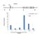 H1 Histone Family Member 0 antibody, PA5-40288, Invitrogen Antibodies, Chromatin Immunoprecipitation image 