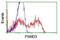 Proteasome 19S S3 antibody, NBP2-01808, Novus Biologicals, Flow Cytometry image 