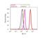 SMAD2 antibody, 44-240G, Invitrogen Antibodies, Flow Cytometry image 