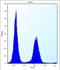 Ecto-NOX Disulfide-Thiol Exchanger 2 antibody, abx027114, Abbexa, Flow Cytometry image 